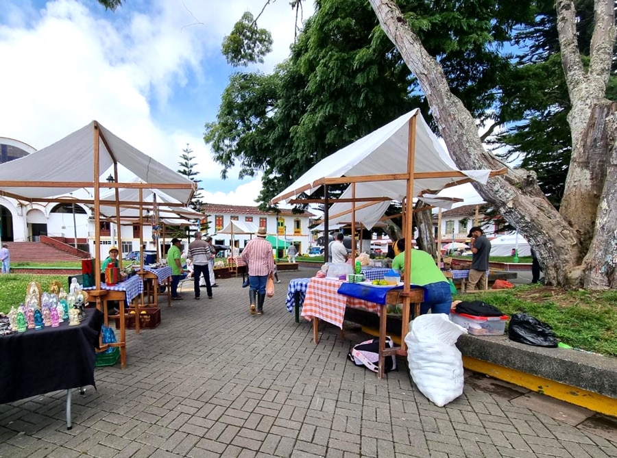 Imágen de galería