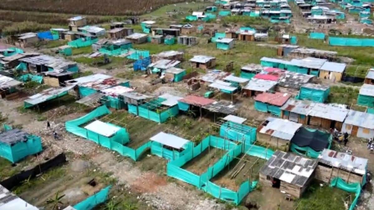Algunas familias que invaden terrenos en Cali ya tienen casas que les dio el gobierno