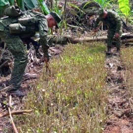 Autoridades desmantelan 10 laboratorios de cocaína en el Pacífico