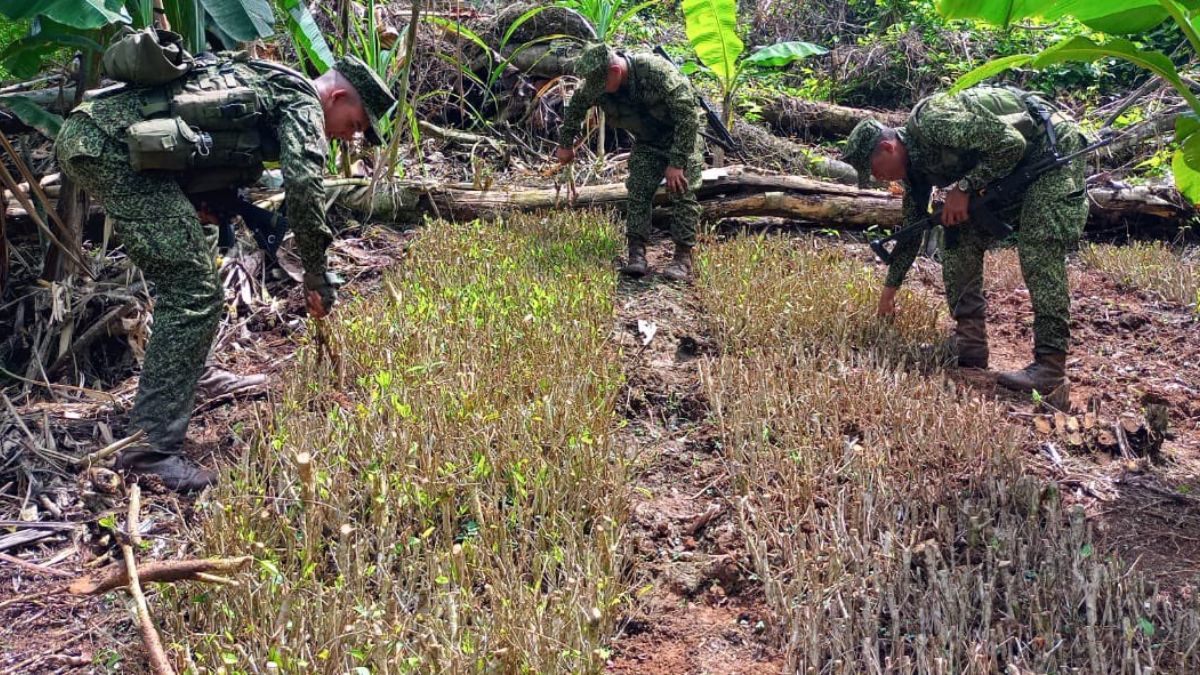 Capturan al cabecilla de banda que traficaba drogas sintéticas en el sur de Cali