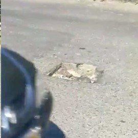 Caleños alertan riesgo de accidentes por hueco en autopista Suroriental