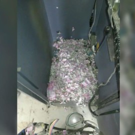 ¡De no creer! Ratón se comió 85 millones de un cajero automático
