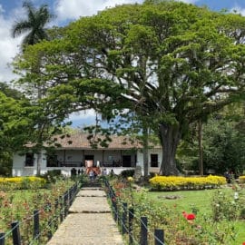 Efraín y María y su historia de amor, viven eternos en la Hacienda ‘El Paraíso’