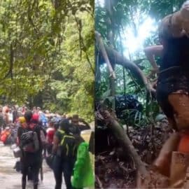 Tik Tok, la red que acogió las historias de dolor que se tomaron las selvas del Darién