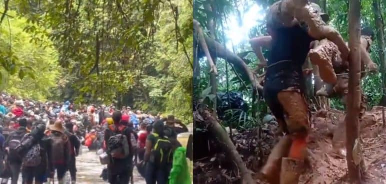 Tik Tok, la red que acogió las historias de dolor que se tomaron las selvas del Darién