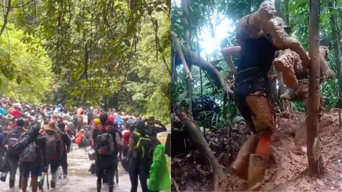 Disminuyen los migrantes que atraviesan la peligrosa selva del Darién