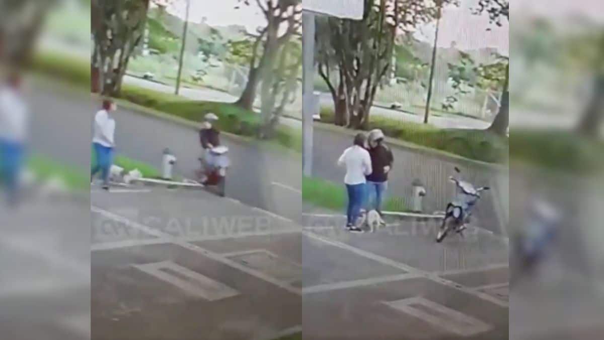 Lo que se sabe del trágico accidente de tránsito en la vía Pasto – Popayán