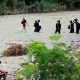 Disminuyen los migrantes que atraviesan la peligrosa selva del Darién