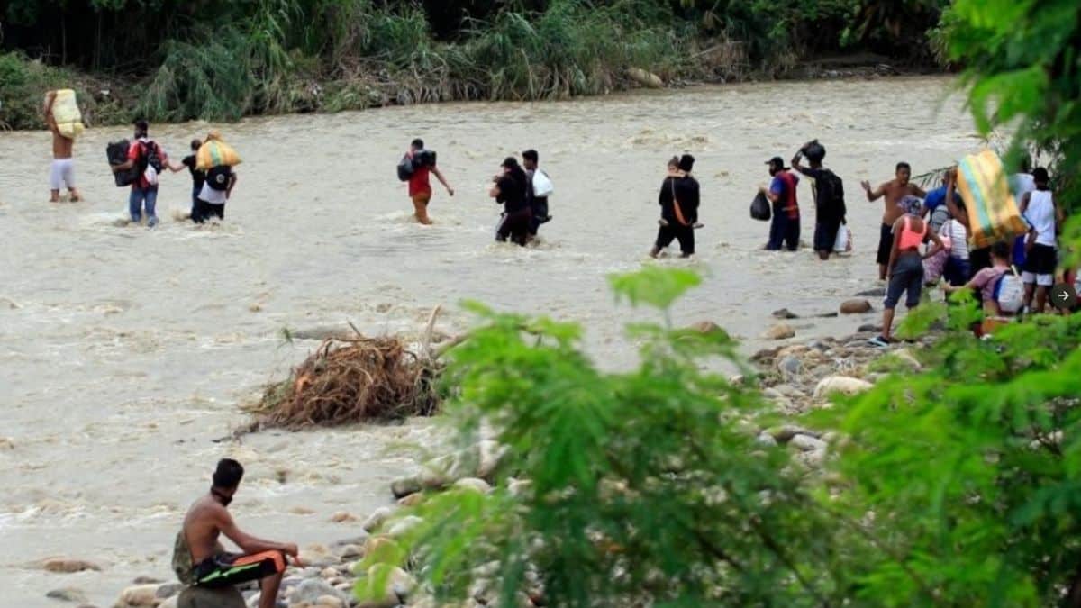 Disminuyen los migrantes que atraviesan la peligrosa selva del Darién