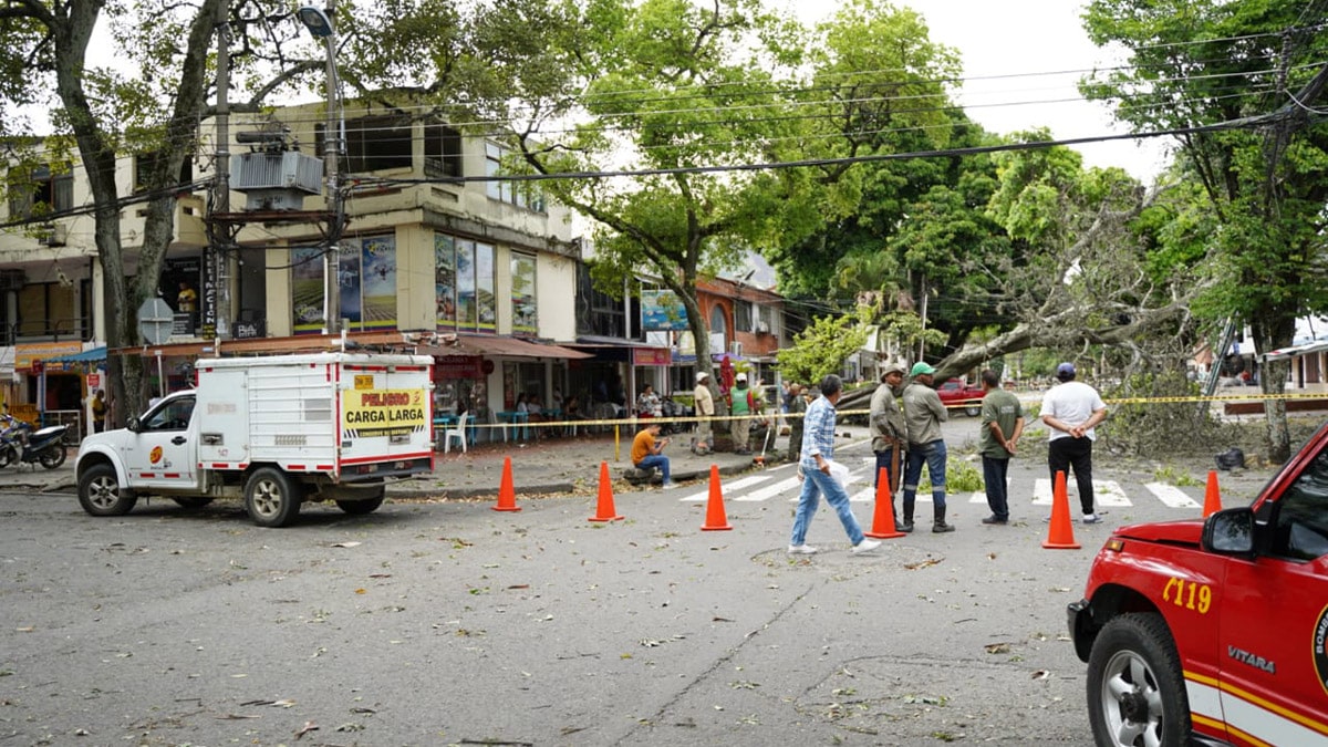 Microtráfico: Sería una de las posibles causas de la masacre en Siloé