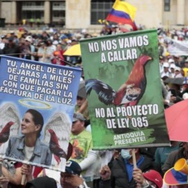 Protestan contra proyecto de ley que busca prohibir las peleas de gallos