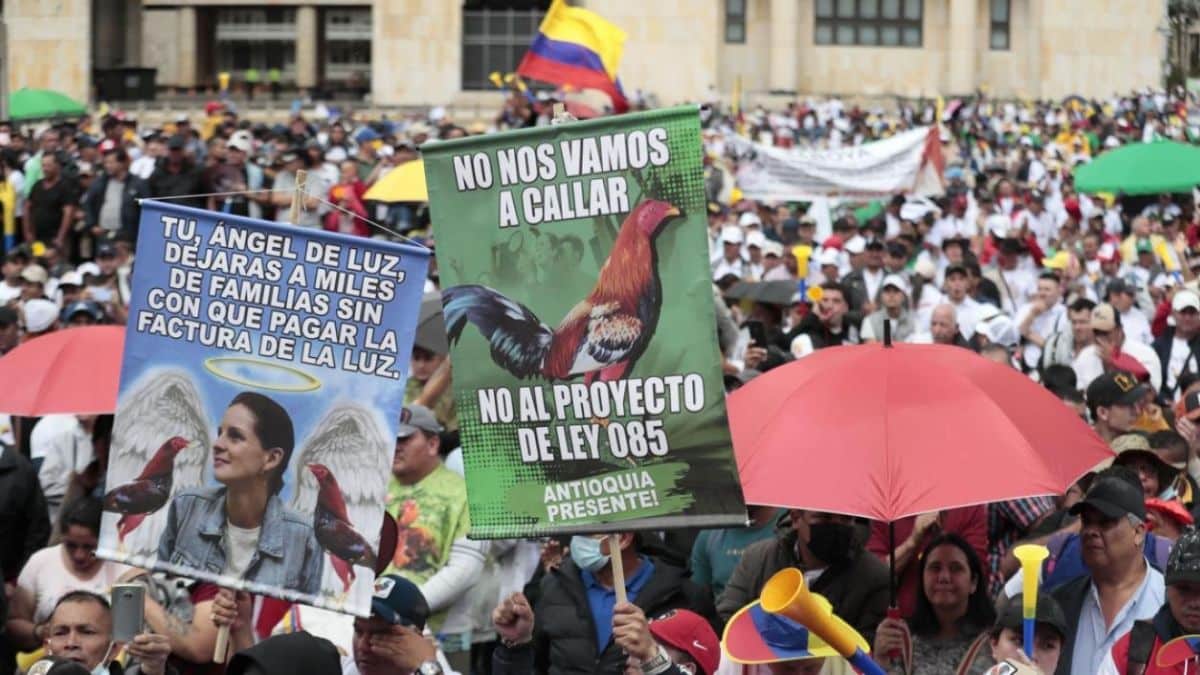 “Ya no hay respeto a Dios”: Queman la capilla El Carmen en Corinto, Cauca