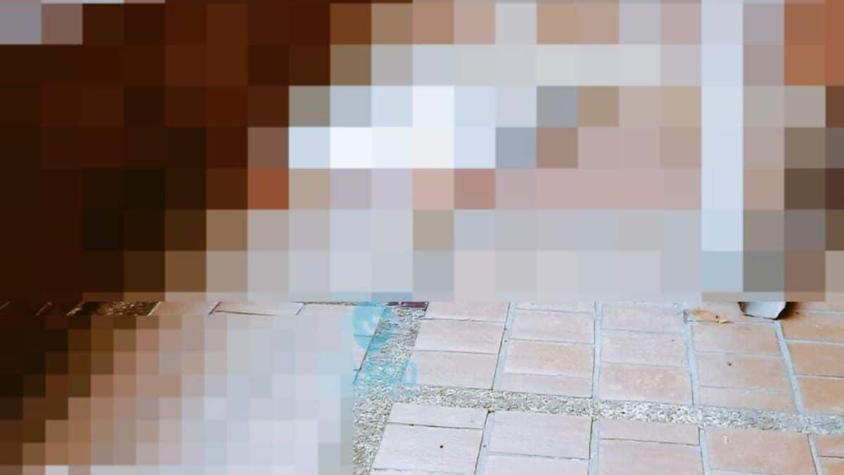 Se confirmó la identidad de mujer que se lanzó de piso 13 de edificio en Cali