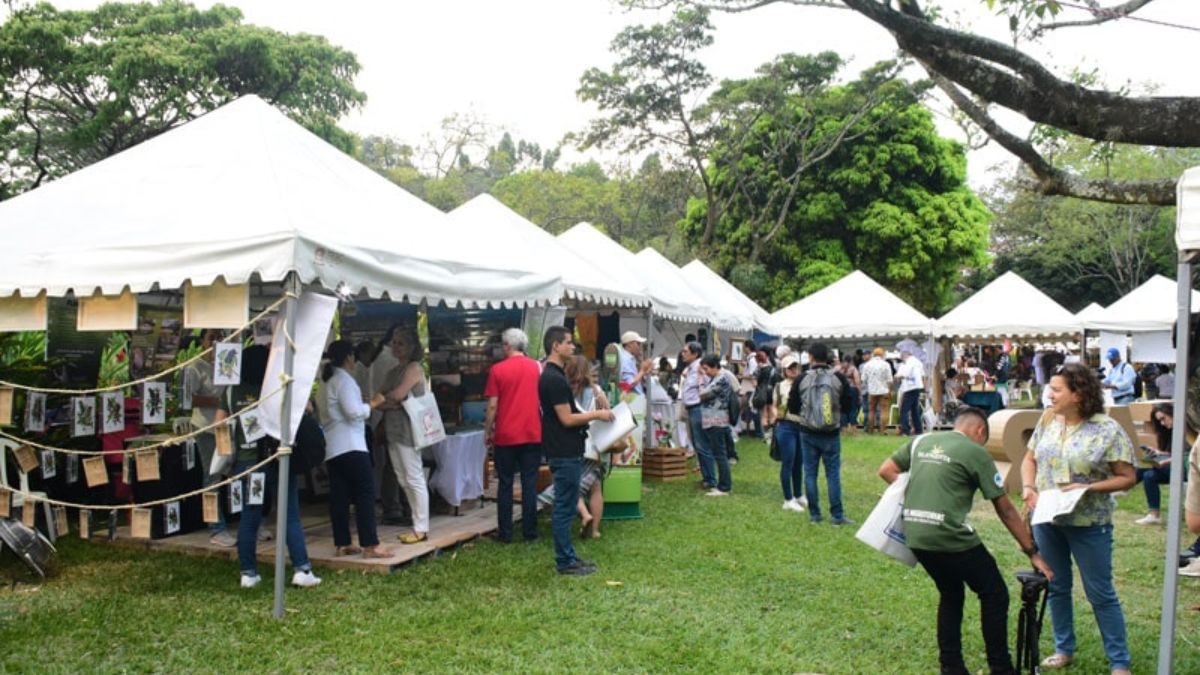 ¿Está listo? Estos son los descuentos y eventos que tendrá Colombia BirdFair 2023