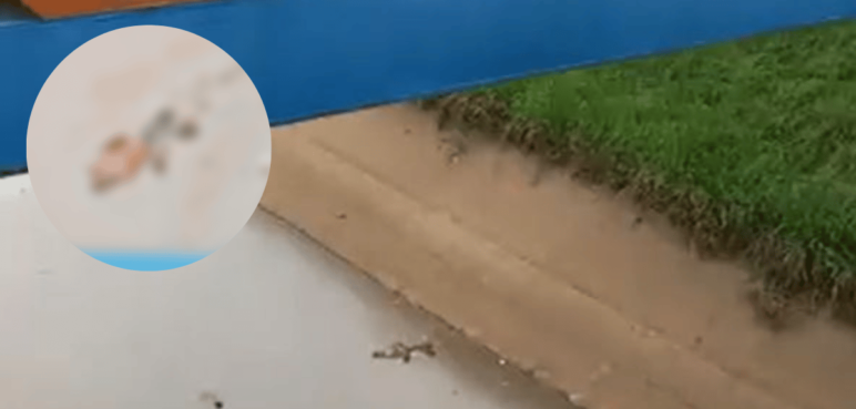 Atención: Encuentran cuerpo flotando en caño de Ciudad 2000
