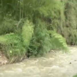 Lamentable hecho: Niña de dos años murió ahogada tras caer a un río