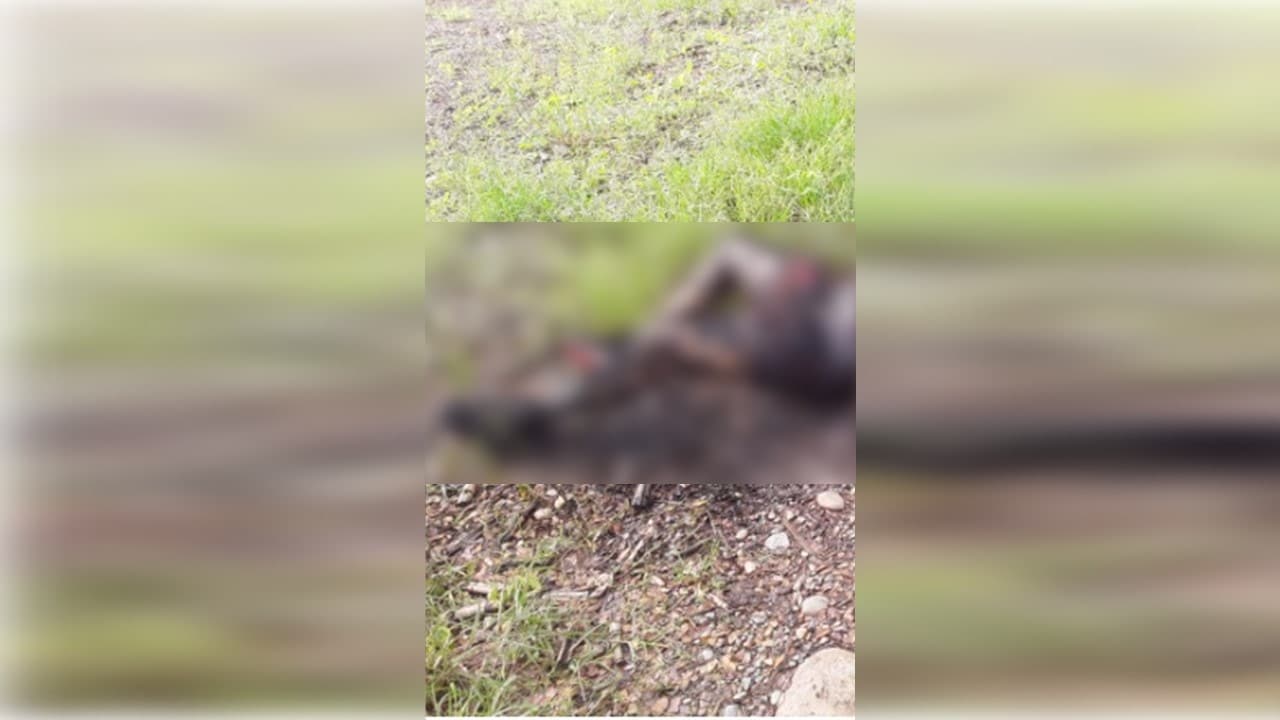 Un niño asesinó accidentalmente a otro con un arma de fuego en Cali