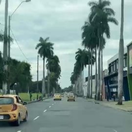 Video: Este es el panorama de las calles en el día sin carro y sin moto en Cali