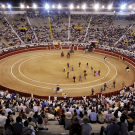 Autoridades en Cali aclaran decisión sobre la Feria Taurina  ¿Continúa?