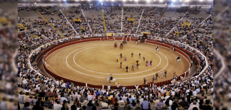 Autoridades en Cali aclaran decisión sobre la Feria Taurina  ¿Continúa?
