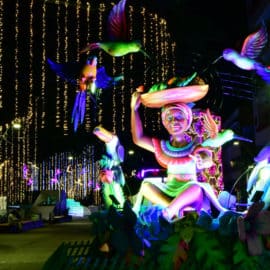 Sigue la polémica ¿Qué opinan los caleños del alumbrado navideño?