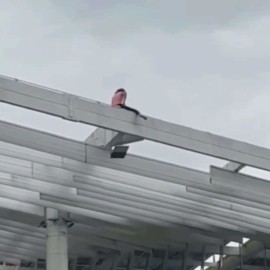 Video: Menor de edad subió hasta el techo metálico de la plazoleta Jairo Varela