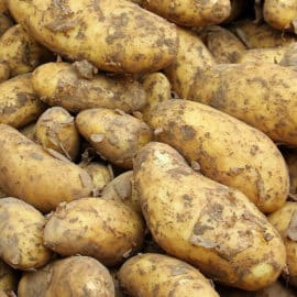 ¿Acaparadores de precios en Cali? Denuncian prácticas ilegales con alimentos