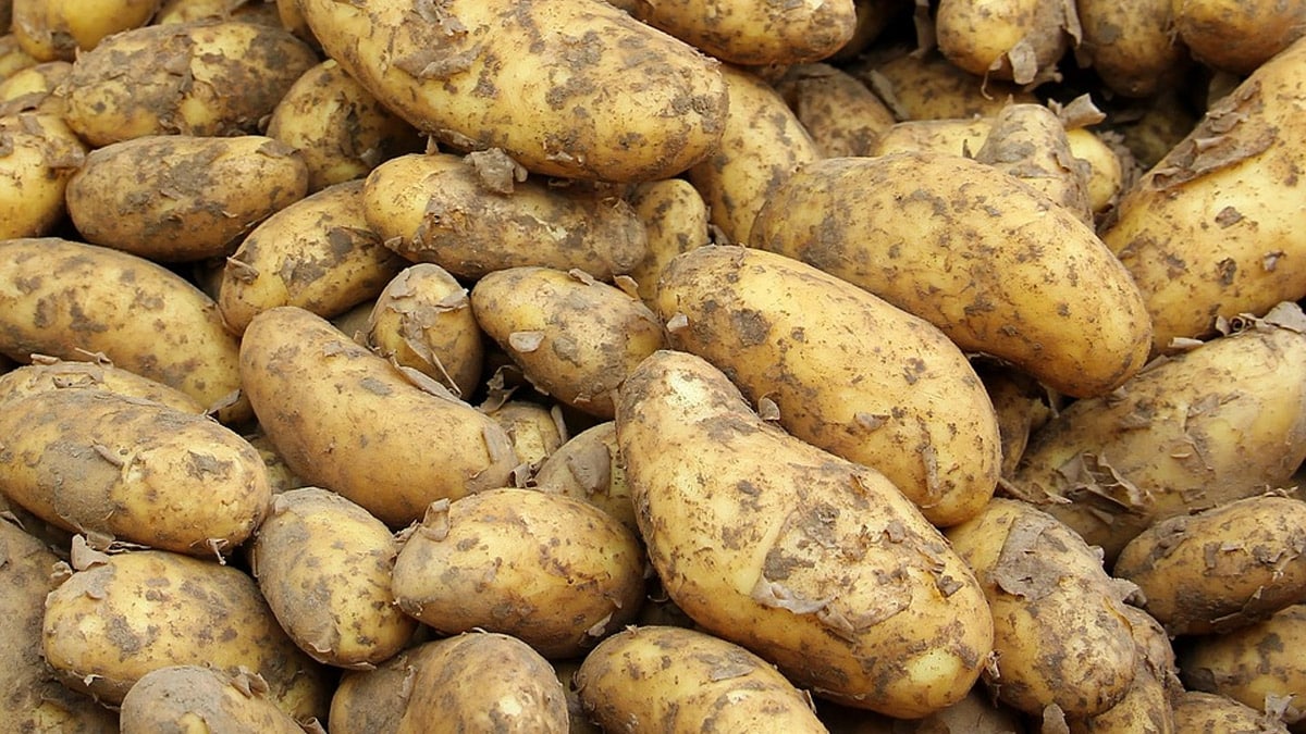 ¿Acaparadores de precios en Cali? Denuncian prácticas ilegales con alimentos