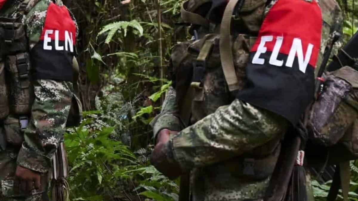 Cayeron dos toneladas de marihuana en vías del Valle, hay varios capturados