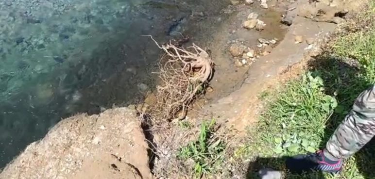 Creciente del río afecta la carretera en San Cipriano