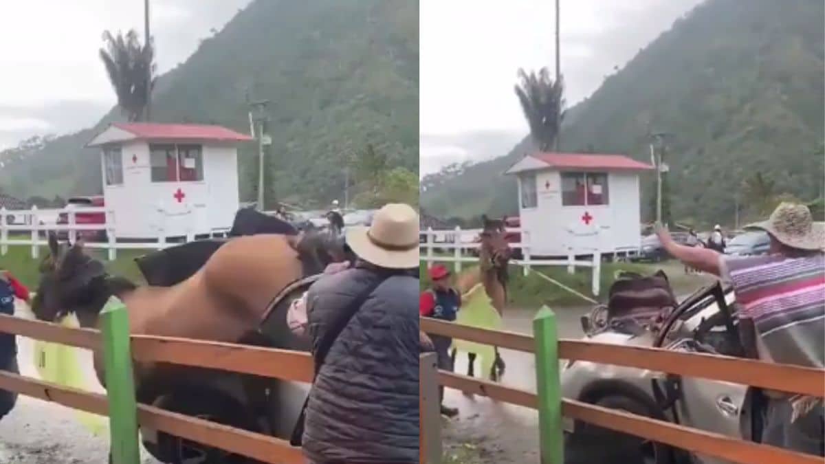 El Fondo Valle INN amplió su convocatoria hasta el próximo 30 de enero