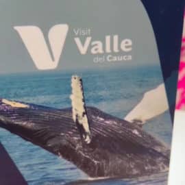 Encantos del Valle se exponen en Feria Internacional de Turismo de Madrid