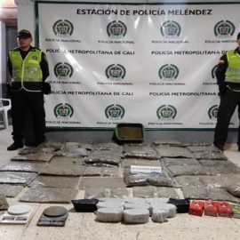 Incautan más de 53 mil gramos de marihuana en el sector de Los Chorros