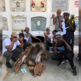 Lo llevó su mamá: la Policía ya tendría a uno de los responsables de profanar tumba