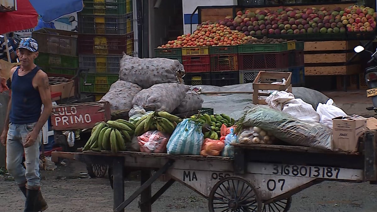 Precio de alimentos podría seguir subiendo por derrumbe en Rosas