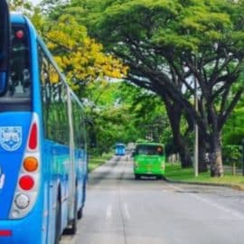 ¿No cumple con la ley? Se conocen detalles del contrato que adjudicó Metrocali