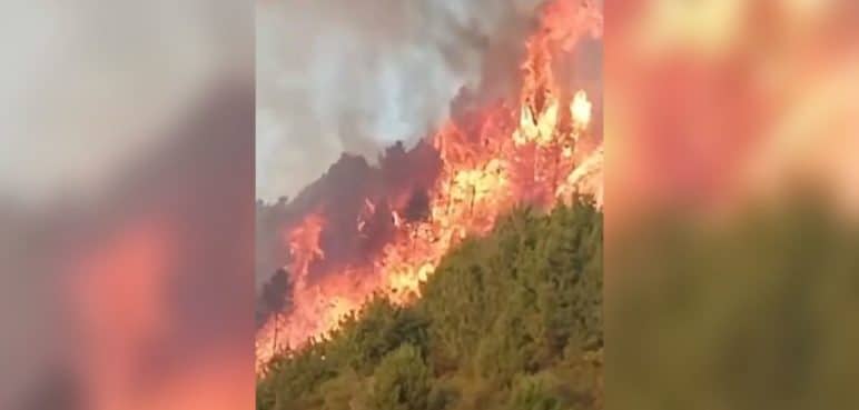 Continúa emergencia en Tacueyó, Cauca, por incendio