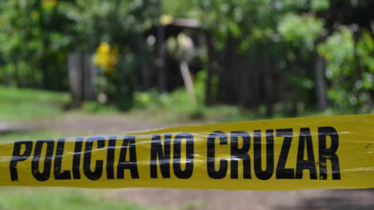 Confirman tercer caso de paciente que se cura de VIH por trasplante de células