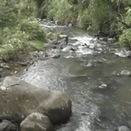 Por mal olor en el río Meléndez, habitantes de la Buitrera piden construcción de PTAR