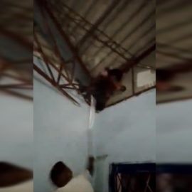 Ladrón llamó a su mamá para que no lo lincharan tras ser descubierto
