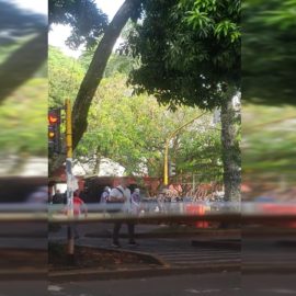 Sur de Cali colapsado: Reportan manifestaciones a las afueras de Univalle