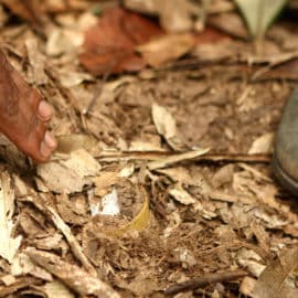 Crisis humanitaria en el Cauca, Nariño y Valle del Cauca