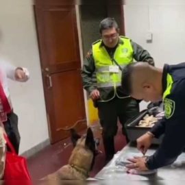 Ciudadano británico pretendía salir del aeropuerto de Palmira con 23 kilos de cocaína