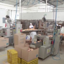 PAE visitó planta procesadora de alimentos para verificar calidad de productos