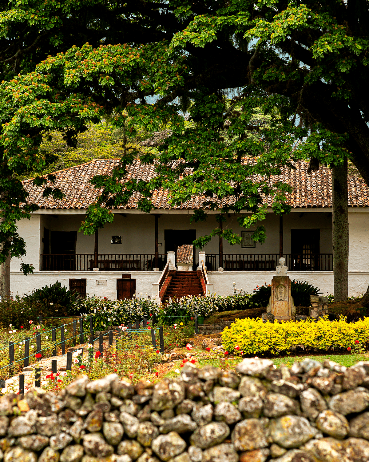 Imágen de galería