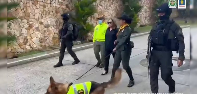 Gobierno avaló extradición de diseñadora caleña, responsable de delitos ambientales