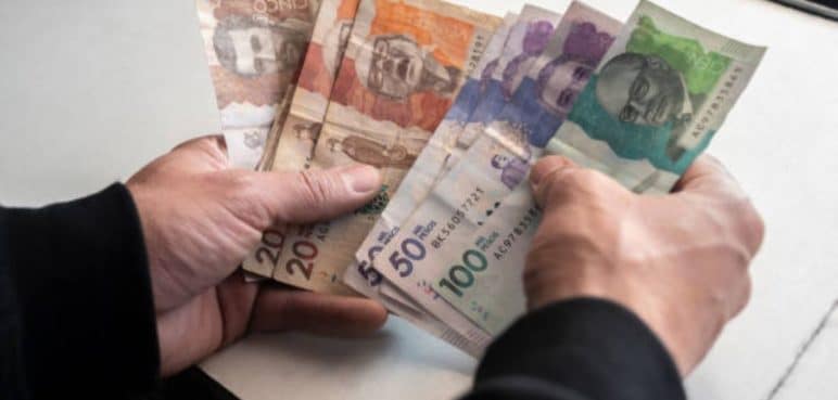 ¿Conoce la fecha de los pagos de Jóvenes en Acción? Aquí le contamos