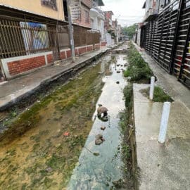 Obra abandonada en Cali se convirtió en una piscina de moho y zancudos