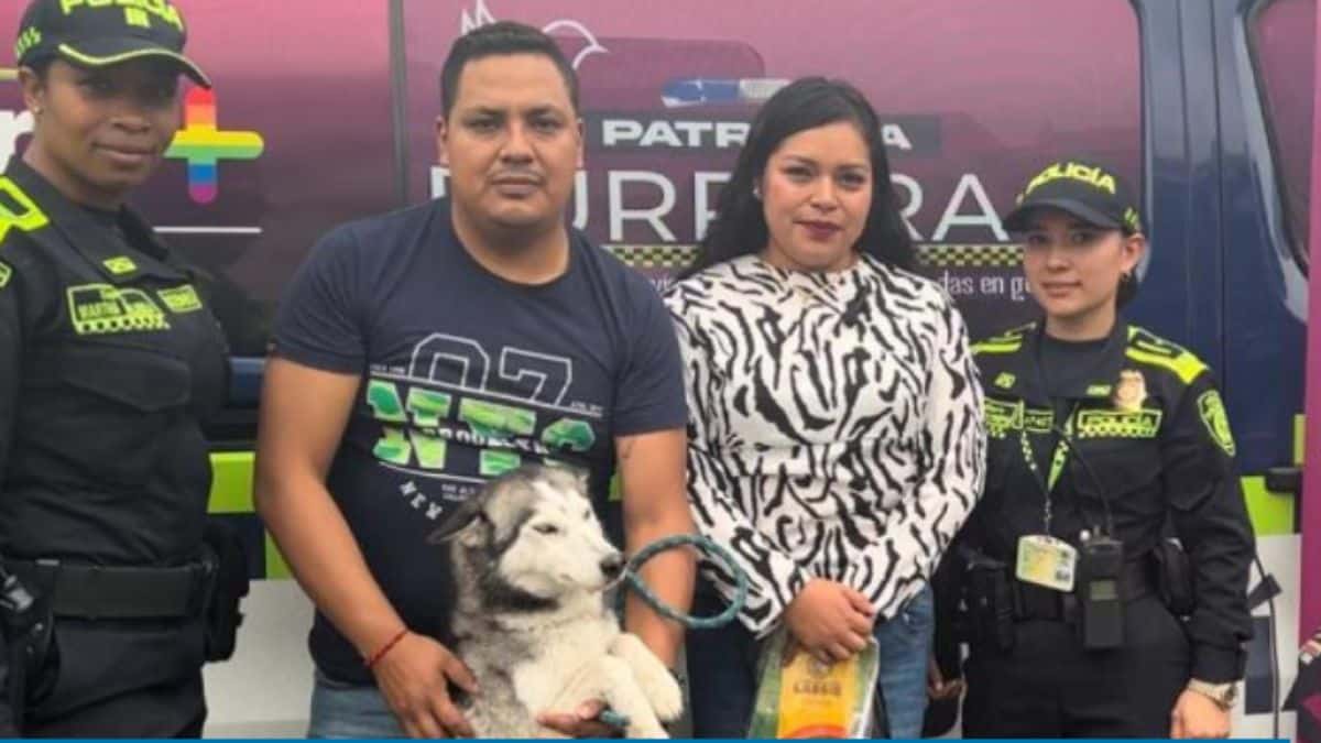 Video: Conductor arrolló a un perrito y luego huyó del lugar