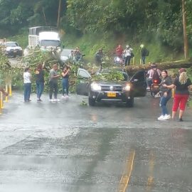 Se presentó la caída de un árbol en el kilómetro 16 vía al mar